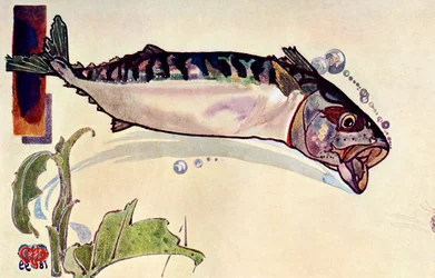 Makreel, 1900