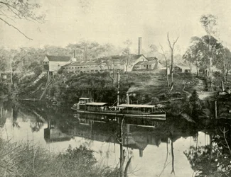 Vleesfabriek, nabij Grafton, New South Wales, 1901