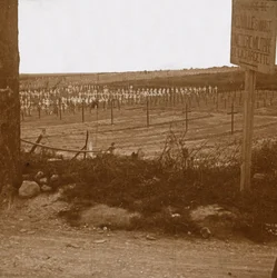 Militaire begraafplaats, Neuville-Saint-Vaast, Noord-Frankrijk, ca. 1914-ca. 1918