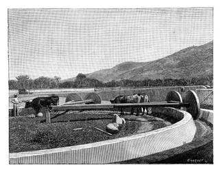 Molen voor het pellen van koffie, Midden-Amerika, ca. 1890