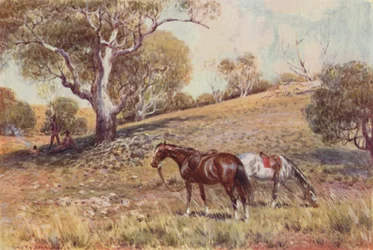 Mijnbouw Prospectors