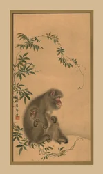 Aap, 19e eeuw, 1886