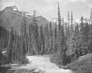 Bergen Cheops en Hermit, Selkirk Range van de Rockies, VS, ca. 1900