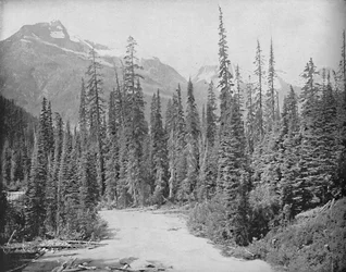 Bergen Cheops en Hermit, Selkirk Range van de Rockies, c1897