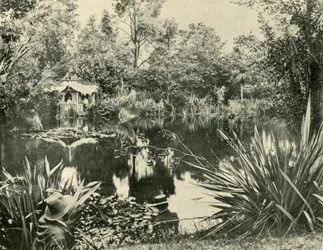 De tuinen van meneer Ryan, Mount Macedon, Victoria, 1901