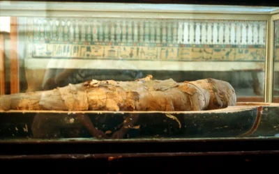 Mummie gewikkeld in verbanden en liggend op de bodem van een kist, Oud-Egyptisch