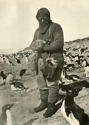 Murray met Jonge Pinguïns, ca. 1908, 1909