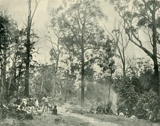 Inheemse sporten, Lake Tyers, 1901