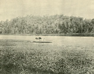 Op het Enoggera Meer, 1901