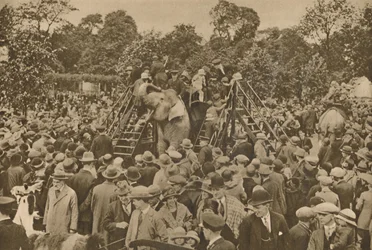 Een van de tekenen van onze beschaving: goed gevulde dierentuinen om de nieuwsgierigen te verrassen, ca. 193