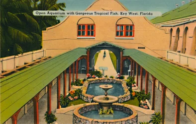 Open aquarium met prachtige tropische vissen, Key West, Florida, ca. 1940s
