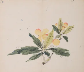 Pagina uit Shi Zhu Zhai