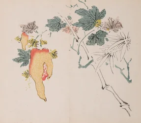 Pagina uit Shi Zhu Zhai