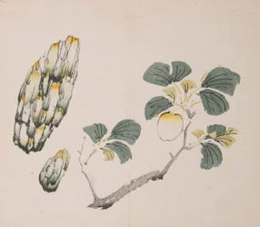 Pagina uit Shi Zhu Zhai