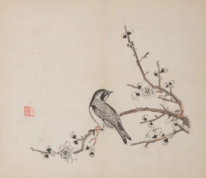 Pagina uit Shi Zhu Zhai