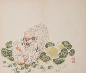 Pagina uit Shi Zhu Zhai