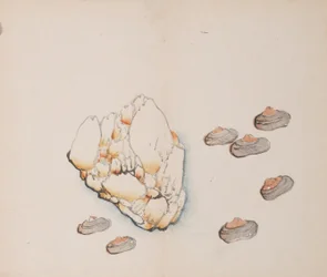 Pagina uit Shi Zhu Zhai