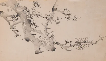 Pagina uit Shi Zhu Zhai