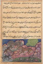 Pagina uit Verhalen van een Papegaai Tuti-nama: Vijftiende nacht: De wolf adviseert de leeuw..., 1558-1560