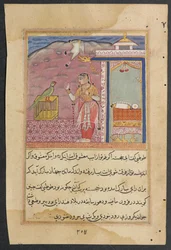 Pagina uit Verhalen van een Papegaai Tuti-nama: Vierenveertigste nacht: De papegaai spreekt..., c. 1560