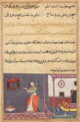 Pagina uit Verhalen van een papegaai Tuti-nama: Vijfentwintigste nacht: De papegaai spreekt Khujasta toe, c1560