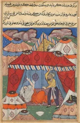 Pagina uit Verhalen van een papegaai Tuti-nama: Vierentwintigste nacht: De vermomde Arabier..., ca. 1560