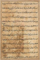 Pagina uit Verhalen van een papegaai Tuti-nama: tekstpagina, ca. 1560