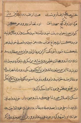 Pagina uit Verhalen van een papegaai Tuti-nama: tekstpagina, ca. 1560