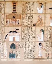 Papyrus, balseming, Anubis, Oud-Egyptisch