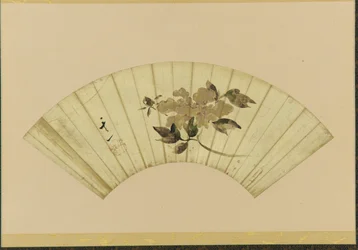 Pioenroos, begin 19e eeuw