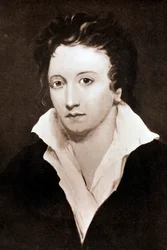 Percy Bysshe Shelley, Engelse romantische dichter, 19e eeuw