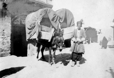 Perzische ezeltransport, Bagdad, Irak, 1917-1919