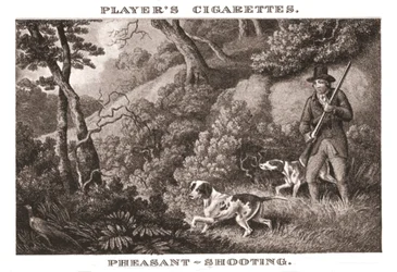 Fazantenschieten