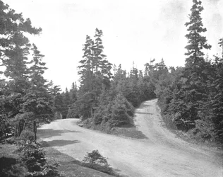 Point Pleasant Park, Halifax, Nova Scotia, Canada, ca. 1900