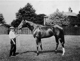Poolster, 1911