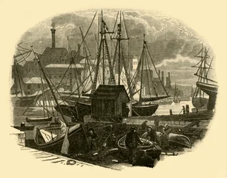 Poole Haven