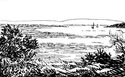 Poole Haven