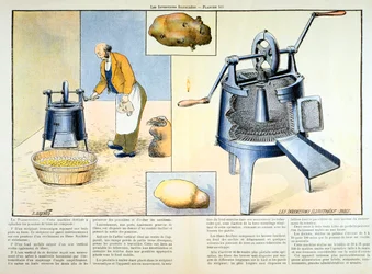 Aardappelschiller