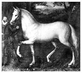 Paard van Koningin Elizabeth I, 1896