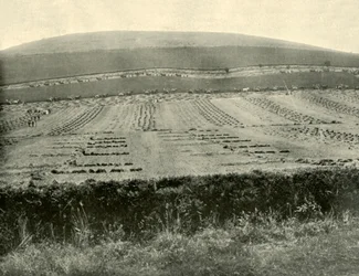 Maaier & Binder Competitie, Mount Blowhard, nabij Ballarat, 1901