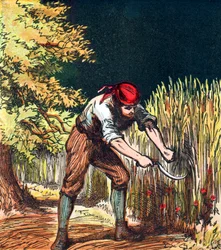 Maaier begint gewas van tarwe te snijden met een sikkel, 1867