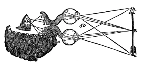 Rene Descartes idee van visie, toont de functie van het oog, de oogzenuw en de hersenen, 1692