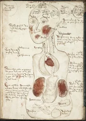 Weergave van een Aristoteliaanse Theorie van Bewustzijn Uit: De corpore et anima