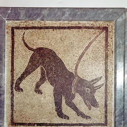 Romeins mozaïek van hond, Cave Canem, Pompeii, Italië