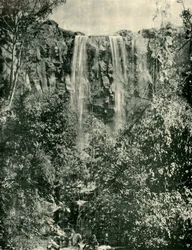 Sailors Creek Falls, Daylesford, 1901