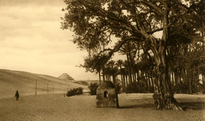 Saqqara - De trappiramide gezien vanaf de Sycomore, ca. 1918-ca. 1939