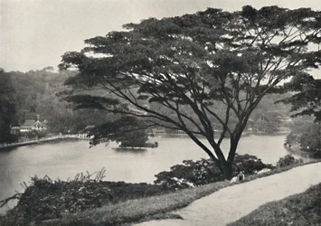Meer, Tempel van de Heilige Tand en Bibliotheek in Kandy, gezien vanaf de Victoria-Drive naar het oosten, 192