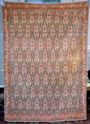 Senneh tapijt, Iran