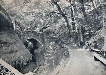 Shanklin - De Chine, 1895