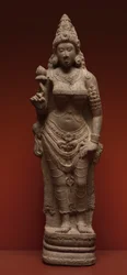 Shri